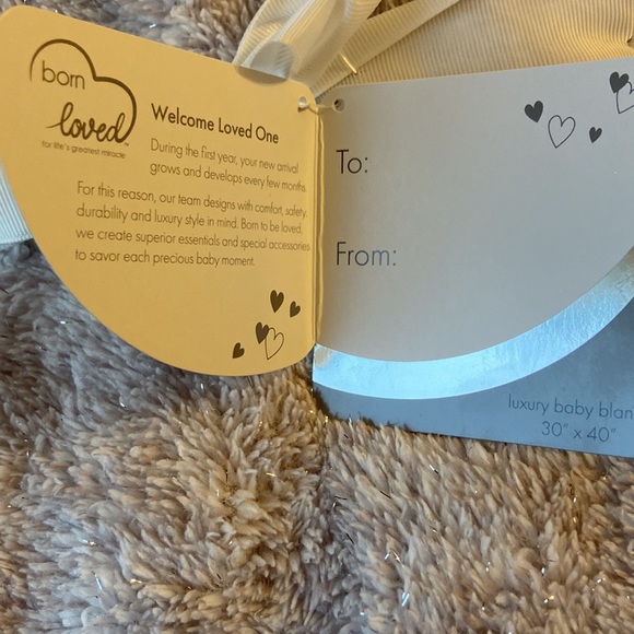 Born Loved Luxury Baby Blanket Gray 30 x 40 NWT  Also Makes a Great Gift! - Picture 2 of 2